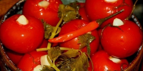 Slani paradajz sa belim lukom u pakovanju: 6 recepata